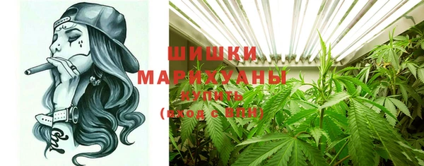 бошки Заводоуковск