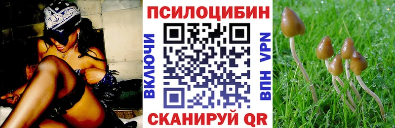 Купить закладки  Шали  Галлюциногенные грибы Cubensis 